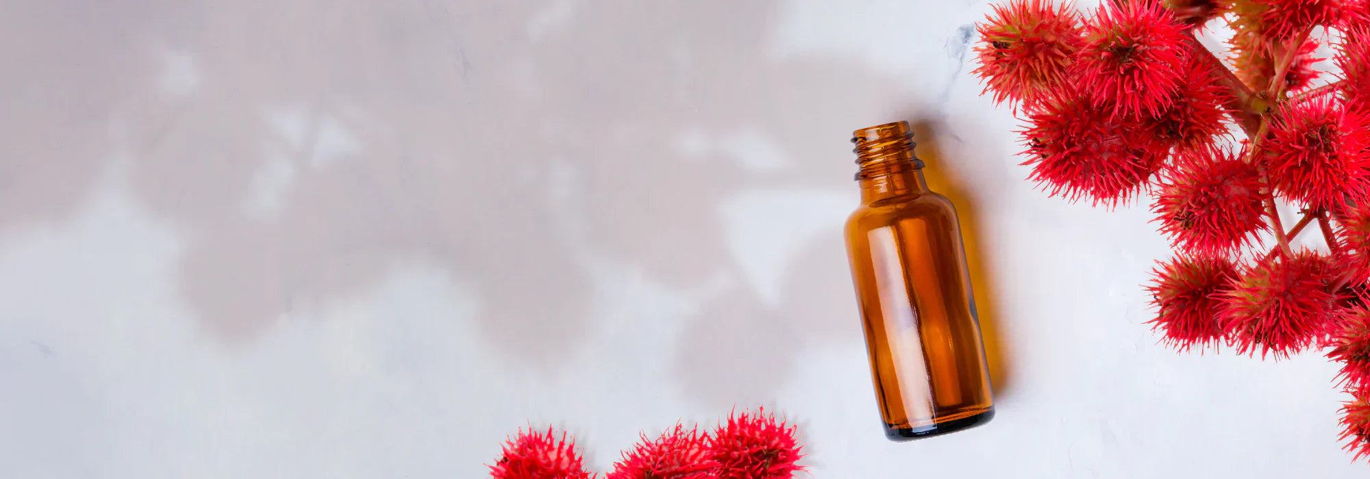 Rizinusöl: Tugenden und Verwendung