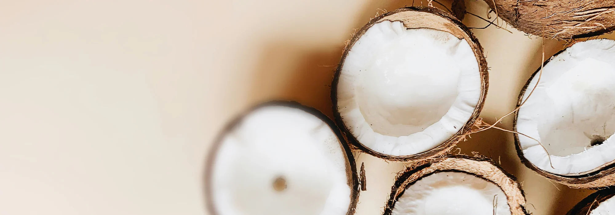 Kokosnussöl: Tugenden und Verwendung