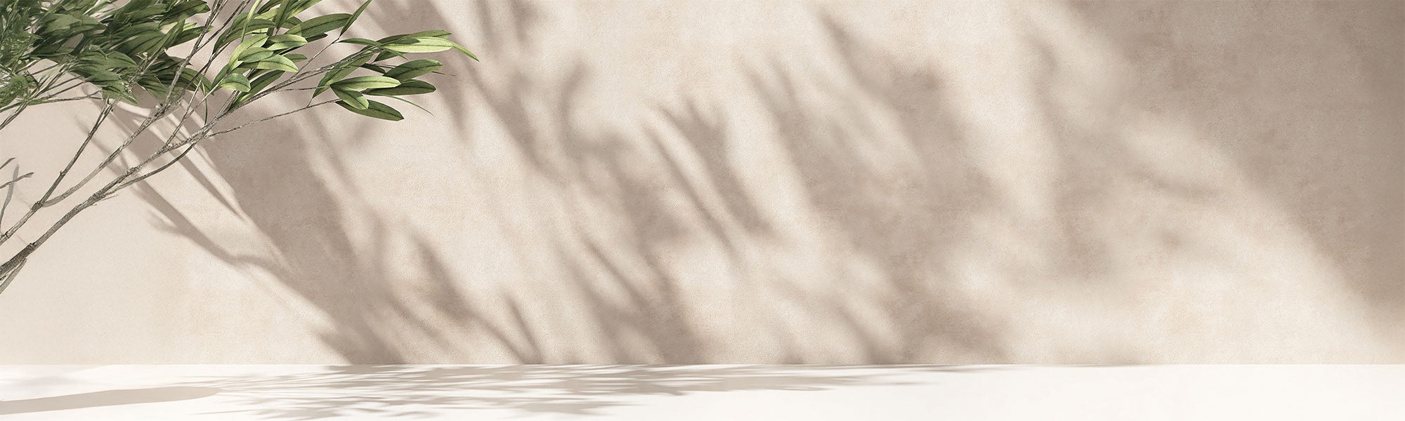 Auswahl mit 50 % Rabatt