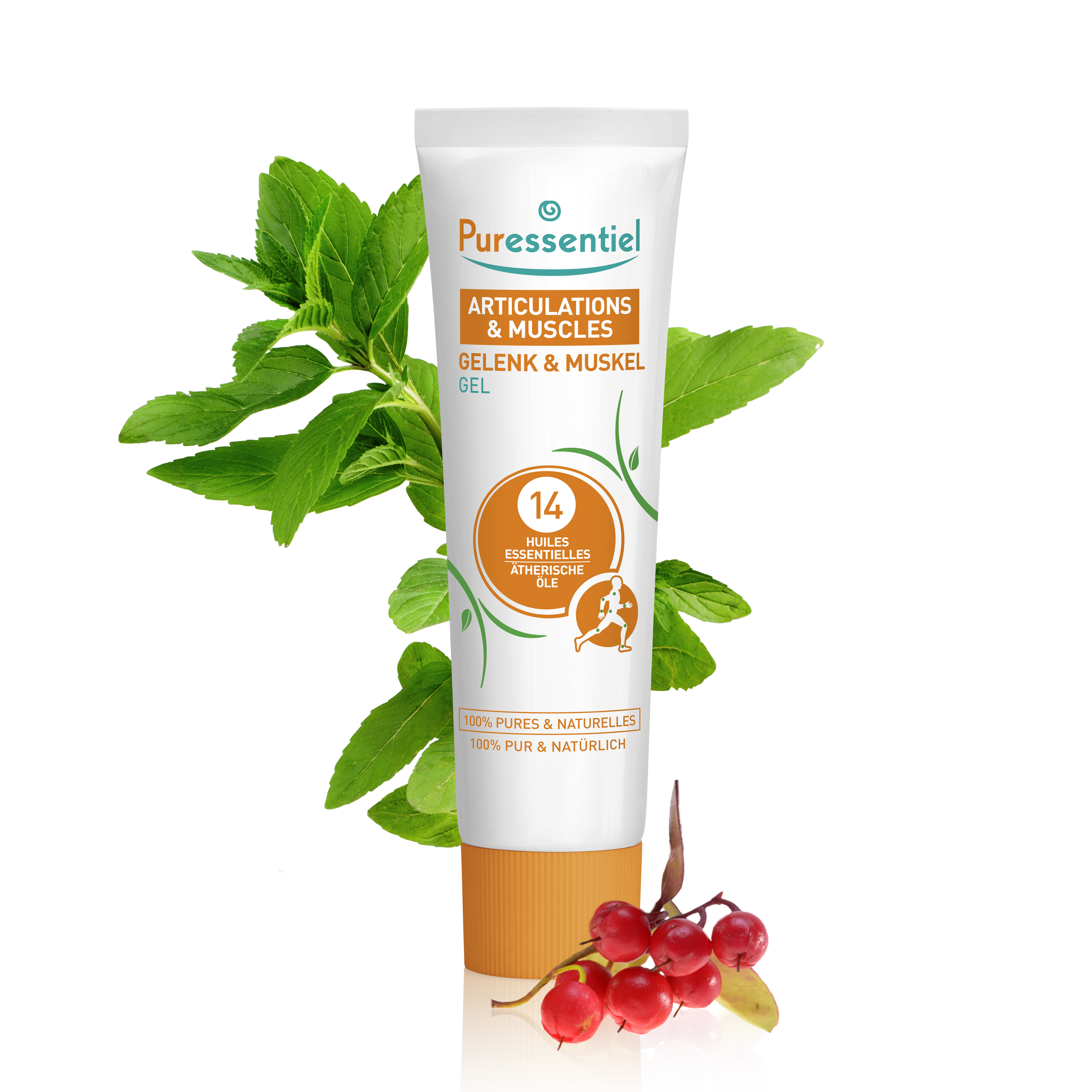 Gelenk &amp; Muskel Gel