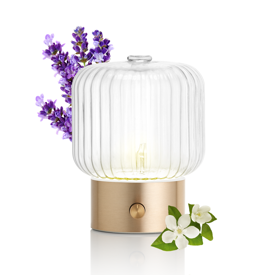 Vernebler Diffusor VERA