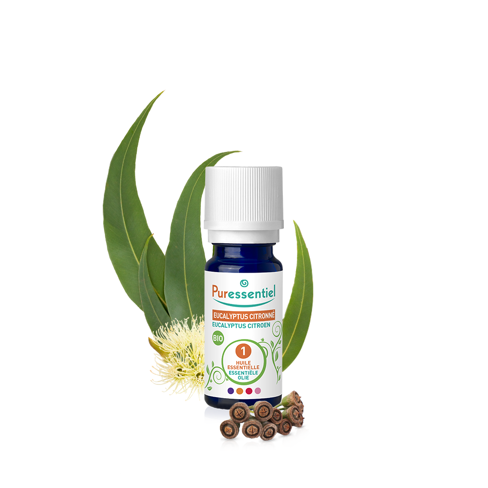 Zitrone Eukalyptus Bio ätherisches Öl
