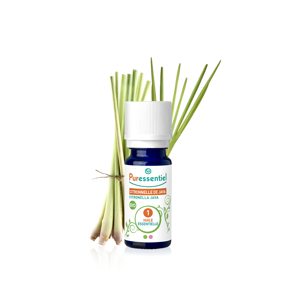 Zitronengras von Java Bio ätherisches Öl