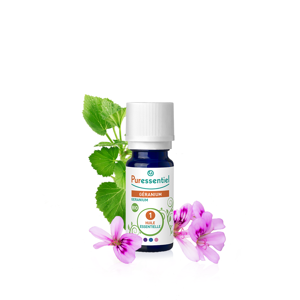 Geranium Bio ätherisches Öl