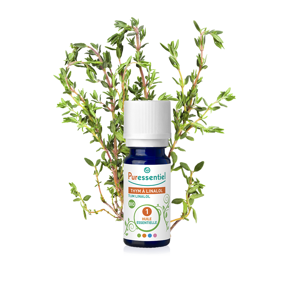 Linalool Thymian BIO ätherisches Öl